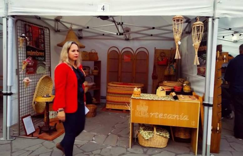 Susana Machín, Consejera de Artesanía del Cabildo Insular